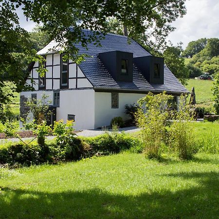 Michels Muehle - Wieder Land Sehen Brilon Extérieur photo