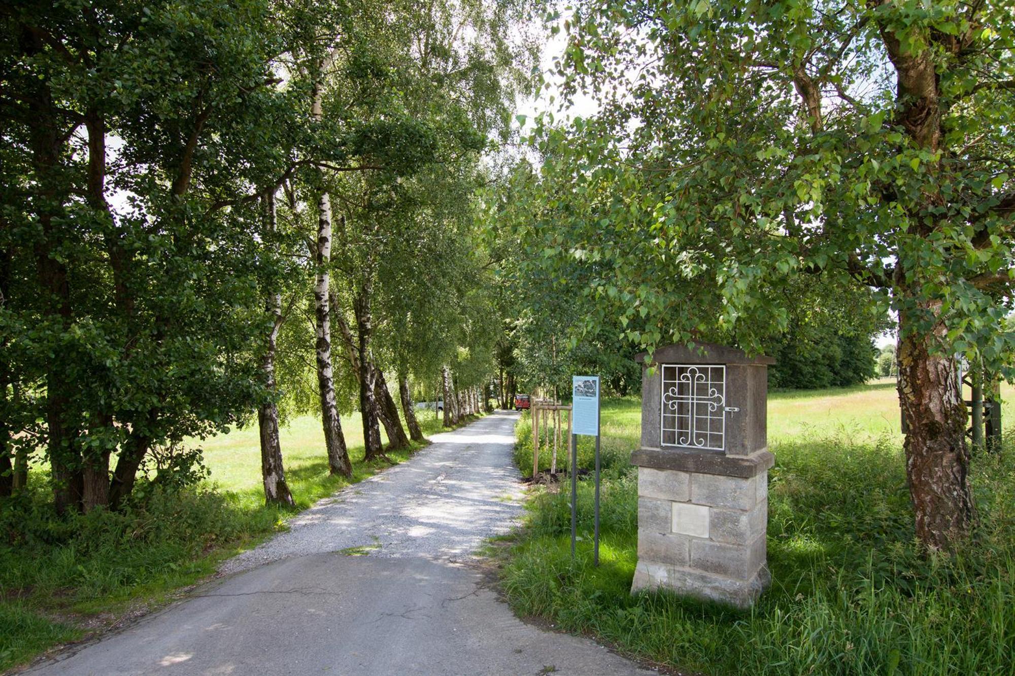 Michels Muehle - Wieder Land Sehen Brilon Extérieur photo